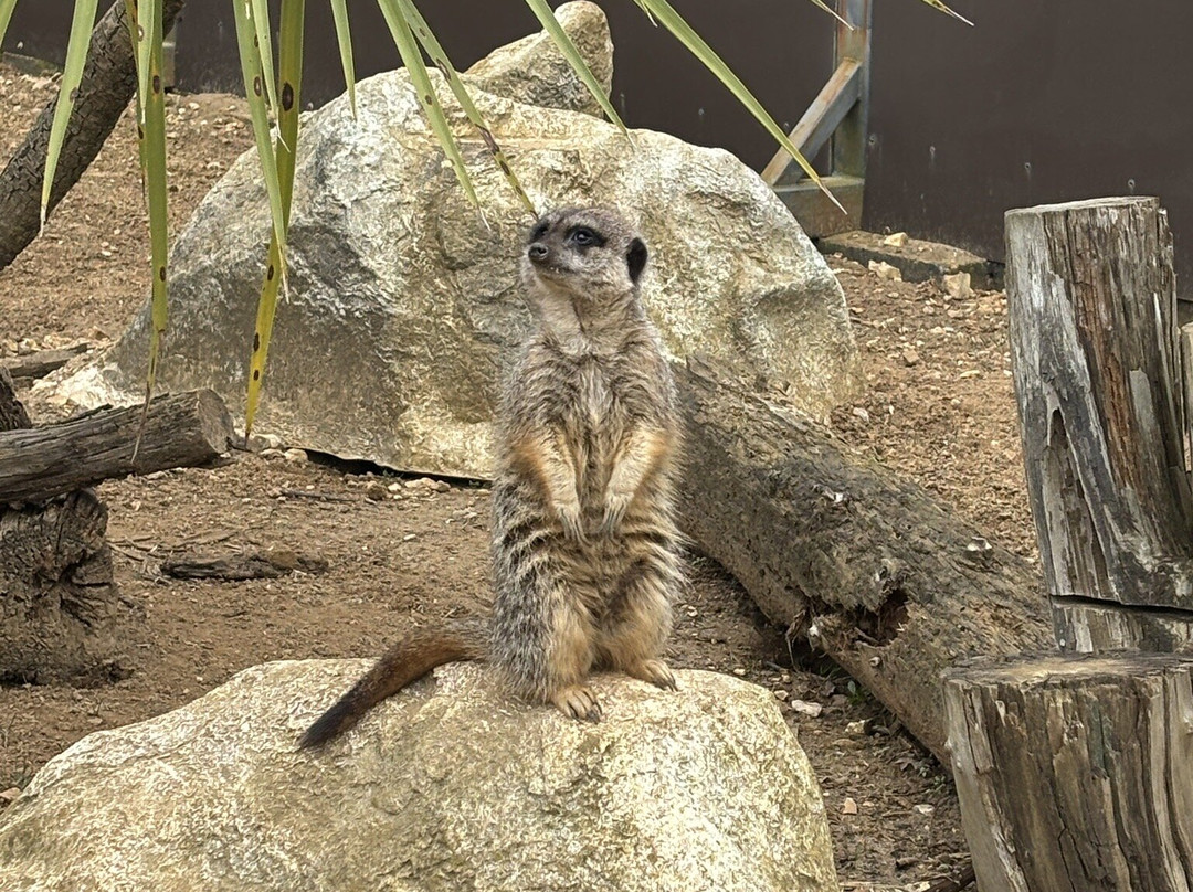 Amazon World Zoo Park-桑当必去景点