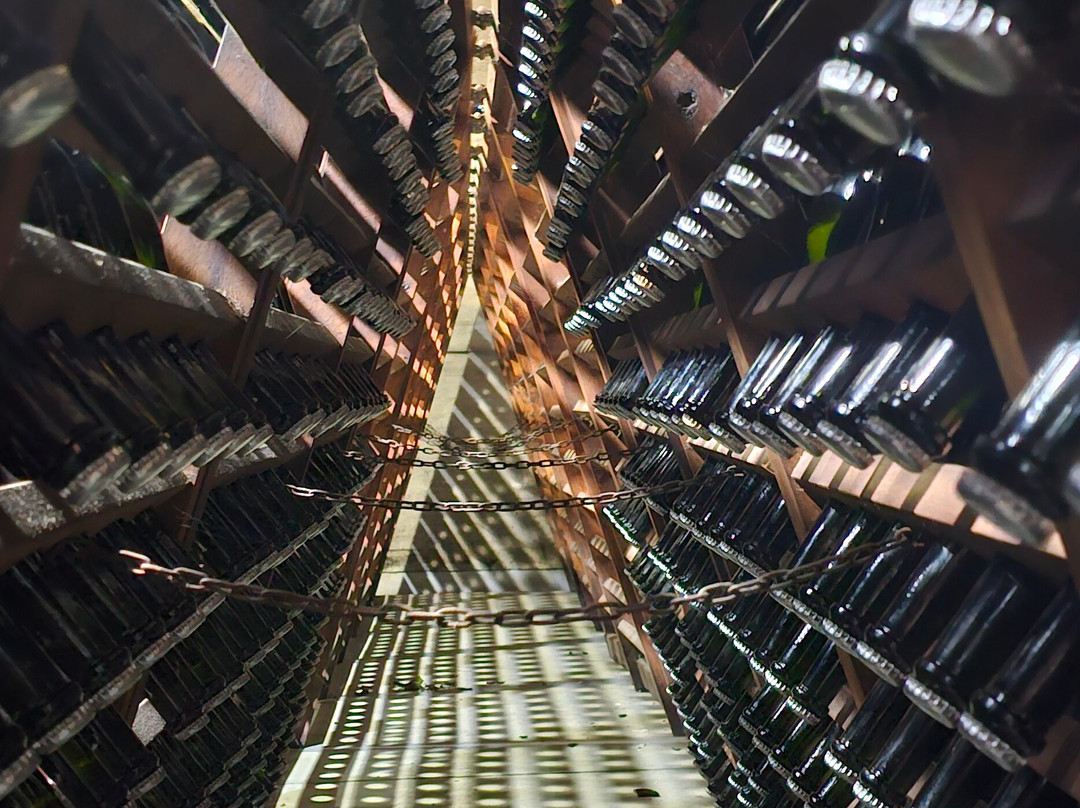 Pizzorno Family Estates-Canelones必去景点