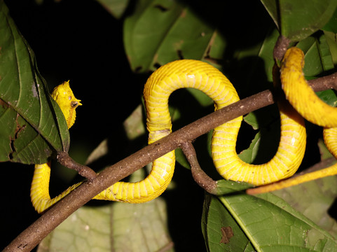 Manuel Tour Guide-卡维塔必去景点