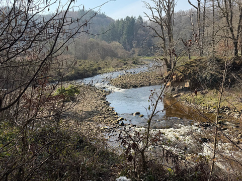 Allen Banks and Staward Gorge-Bardon Mill必去景点