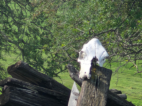 Rail Explorers: Amador CA Division-Ione必去景点