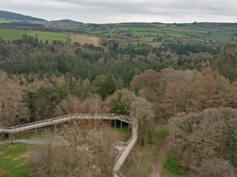 Beyond the Trees Avondale-Rathdrum必去景点