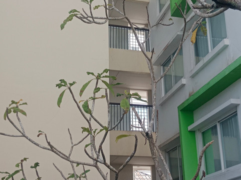 金巴兰苏黎快捷酒店主图