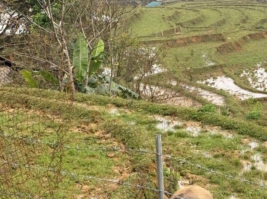 SaPa Farmer House主图