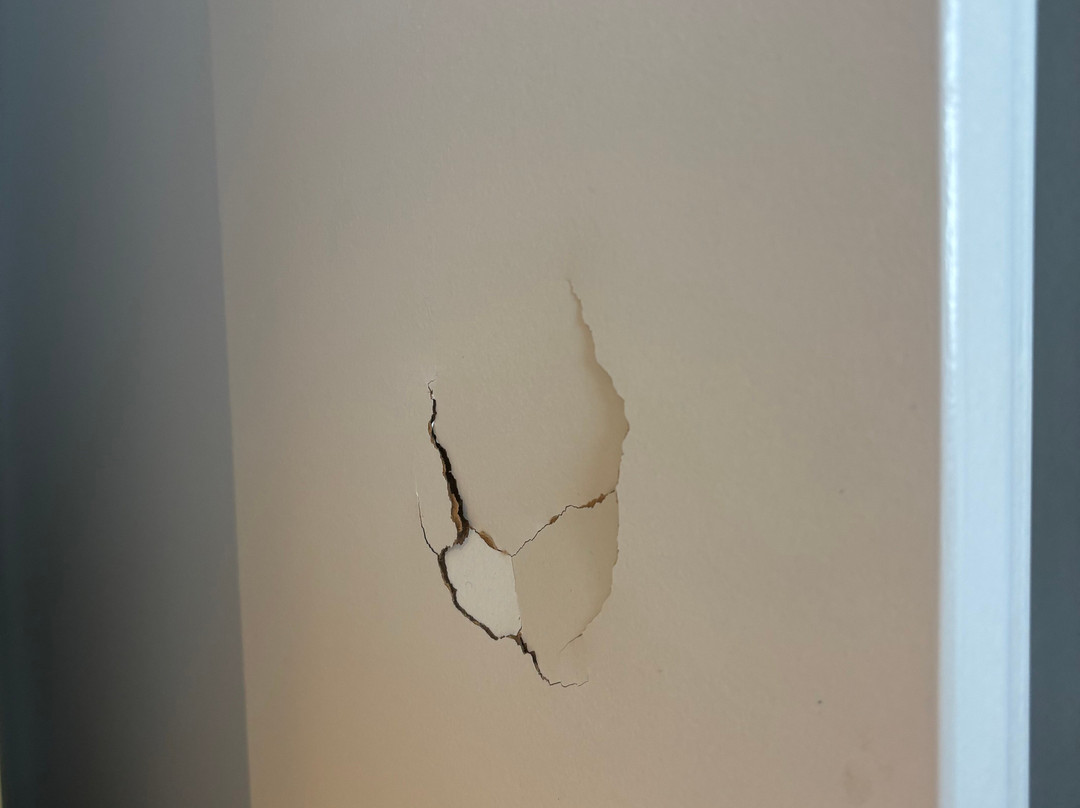 巴黎东博比尼大学民宿酒店主图