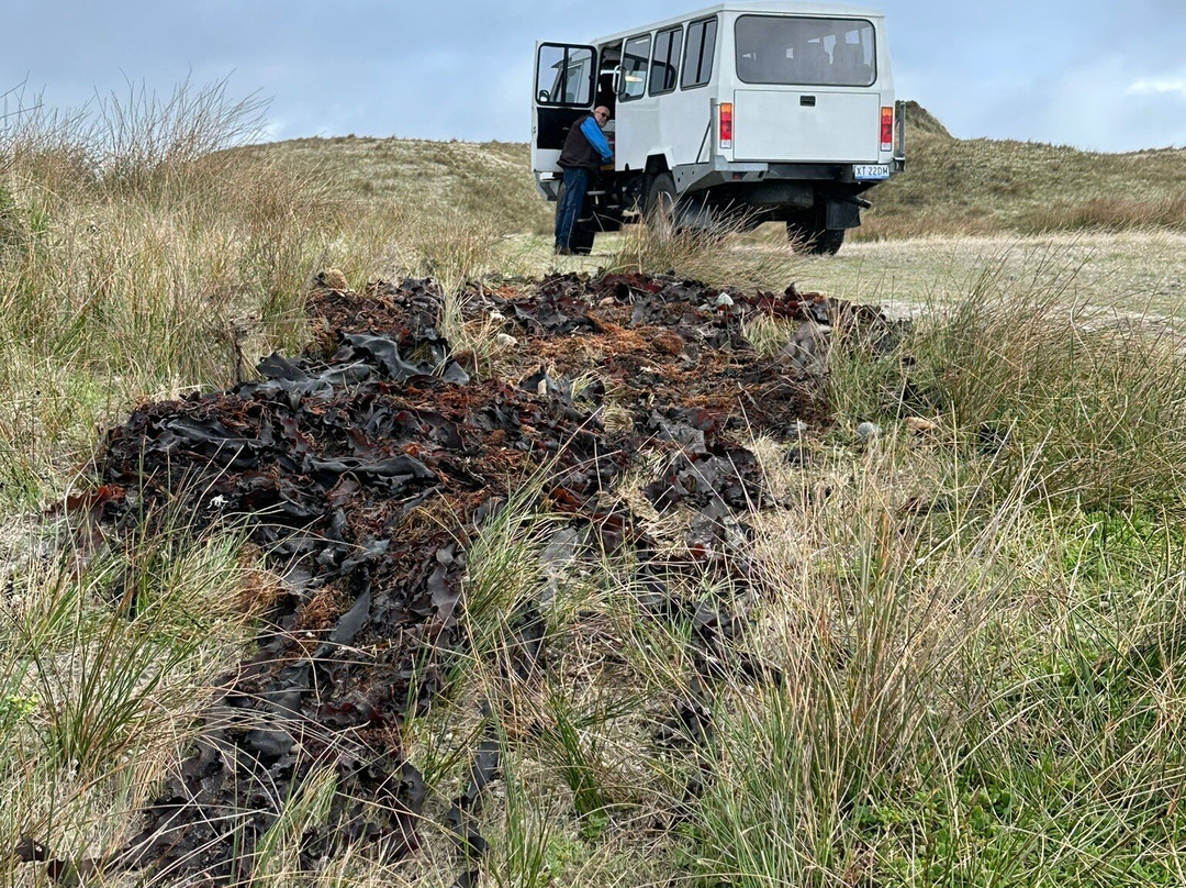 King Island Tours-King Island必去景点