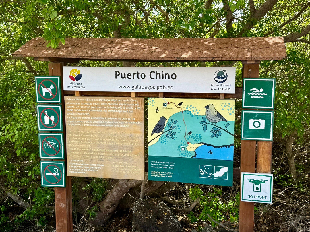 Puerto Chino Beach-圣克里斯托瓦尔必去景点