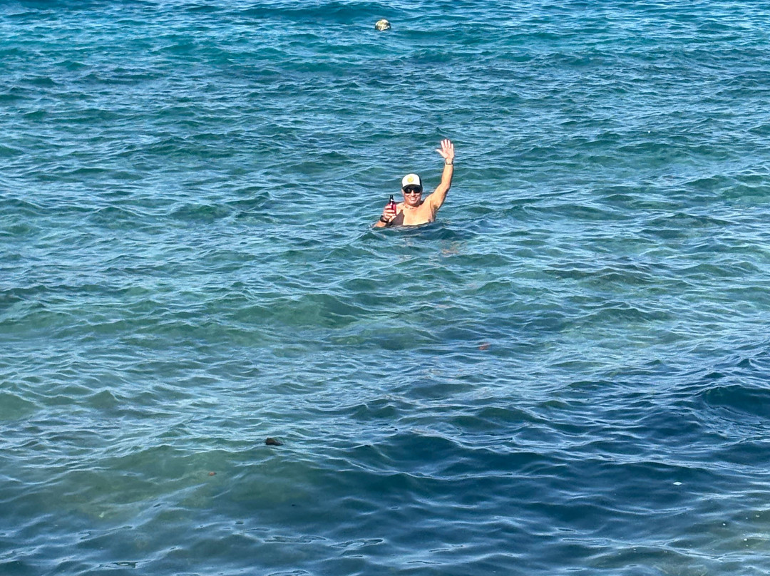 彼得潜水度假村主图