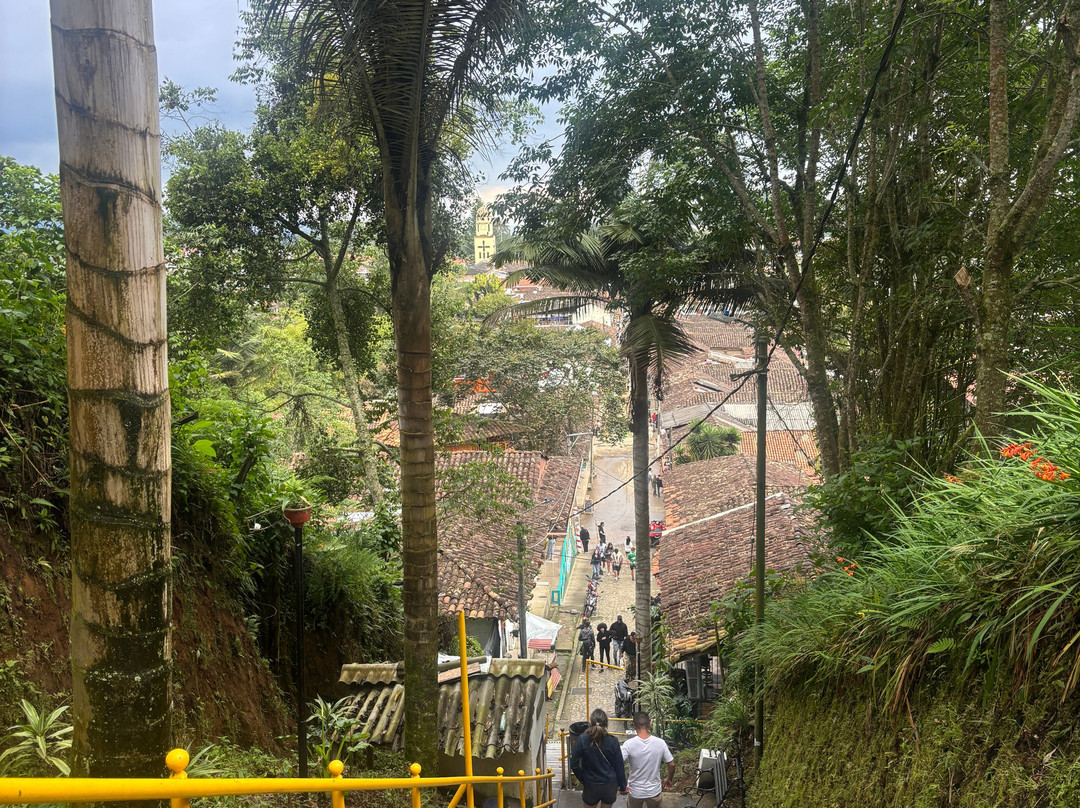 Ecoparque the Mirador Alto De La Cruz-萨伦托必去景点