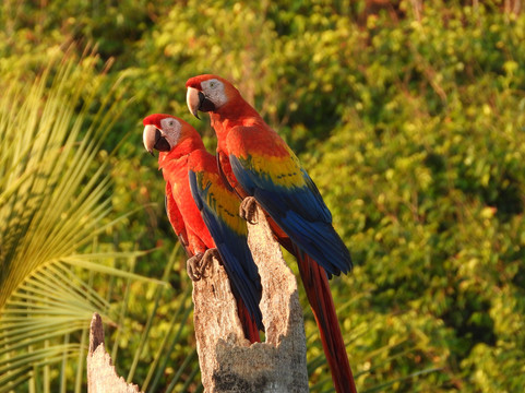 0S3 Private Tours-哈科必去景点