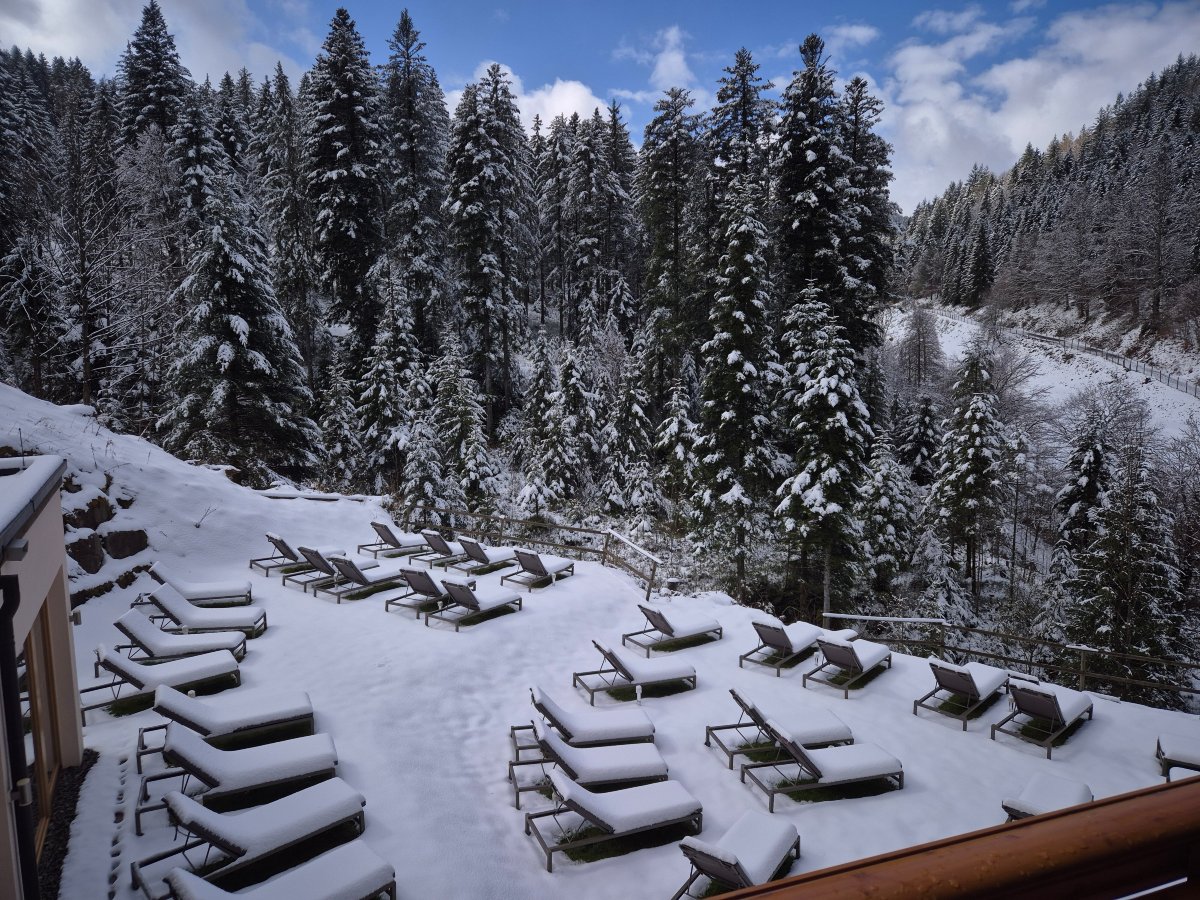 Auerhahn Forsthaus-官方