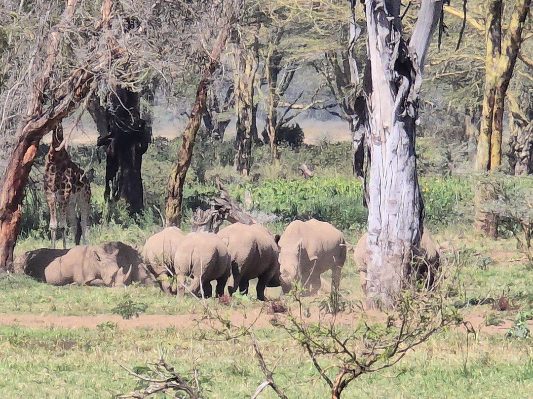 Stokman Safaris-Ruiru必去景点