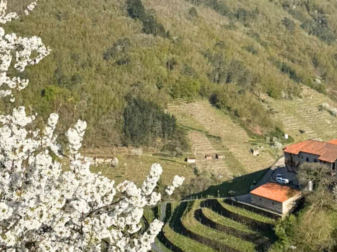 Via Romana Adegas e Vinedos-Chantada必去景点