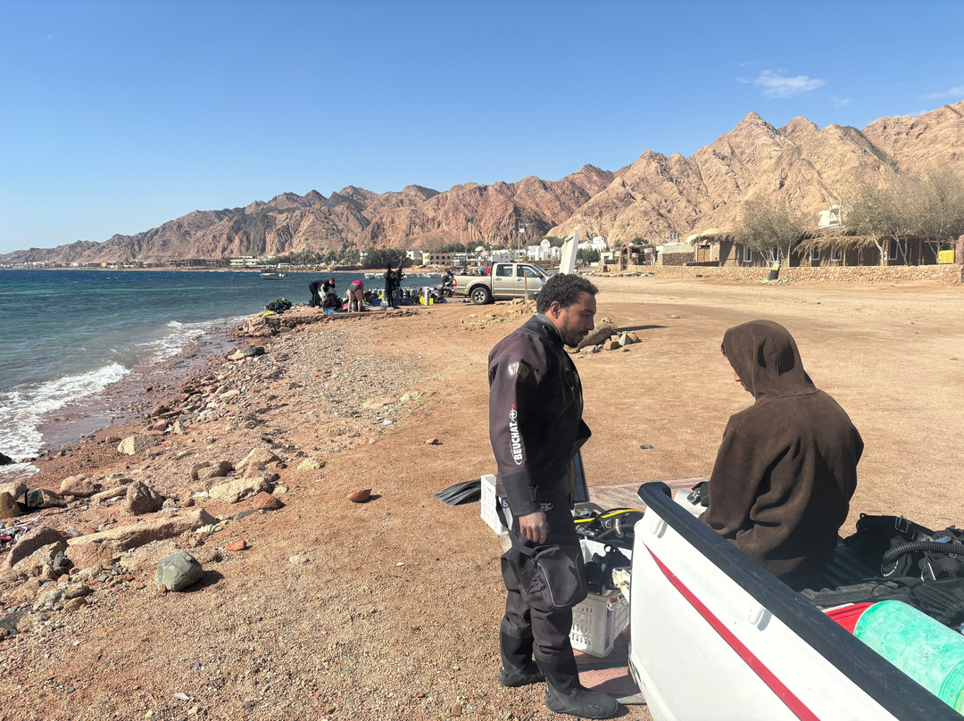 Desert Divers Dahab-达哈卜必去景点