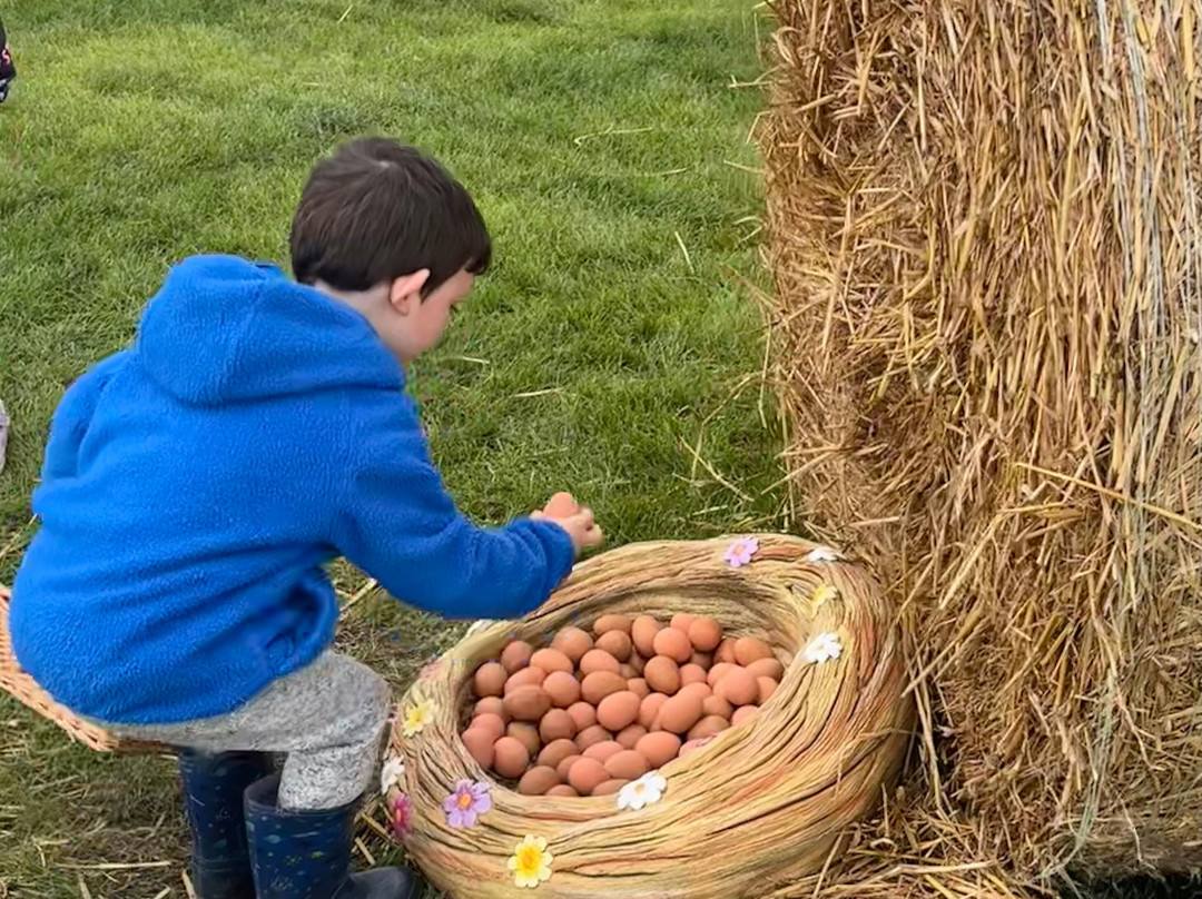 Piglets Adventure Farm-约克必去景点