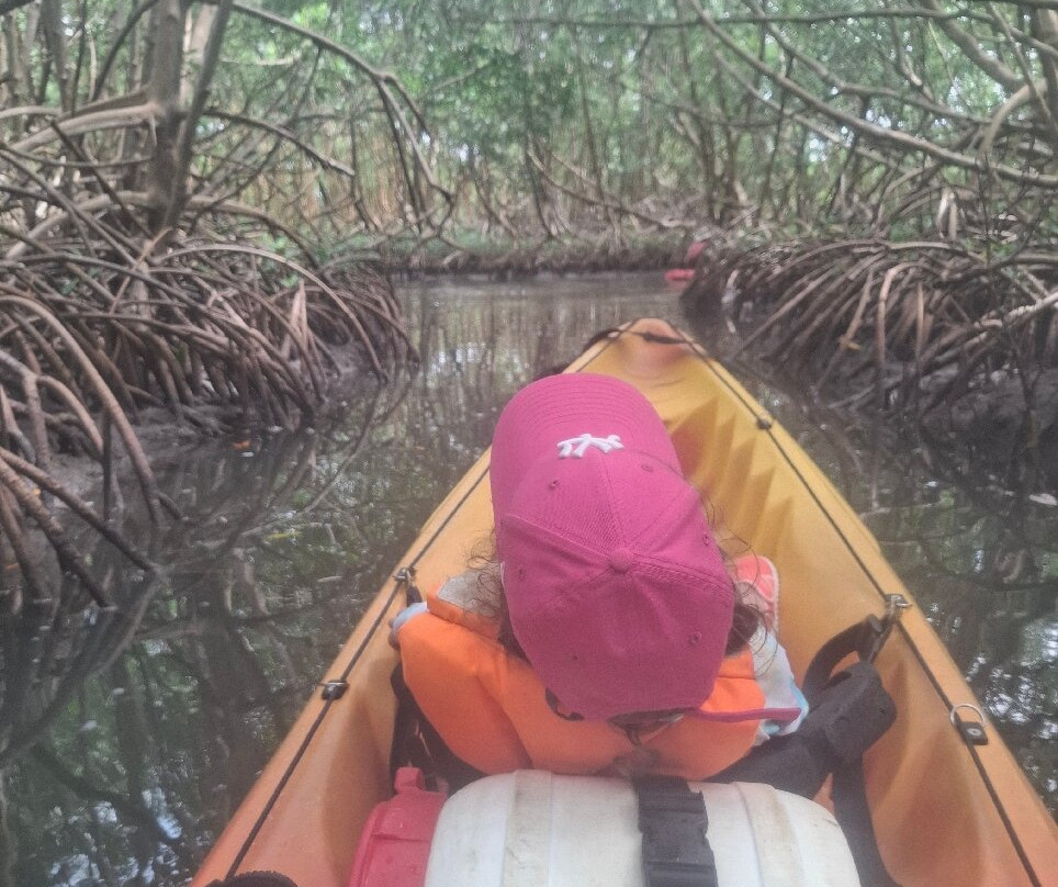 Yalodé Kayak Canyon Bain De Forêt-瓜德罗普岛必去景点
