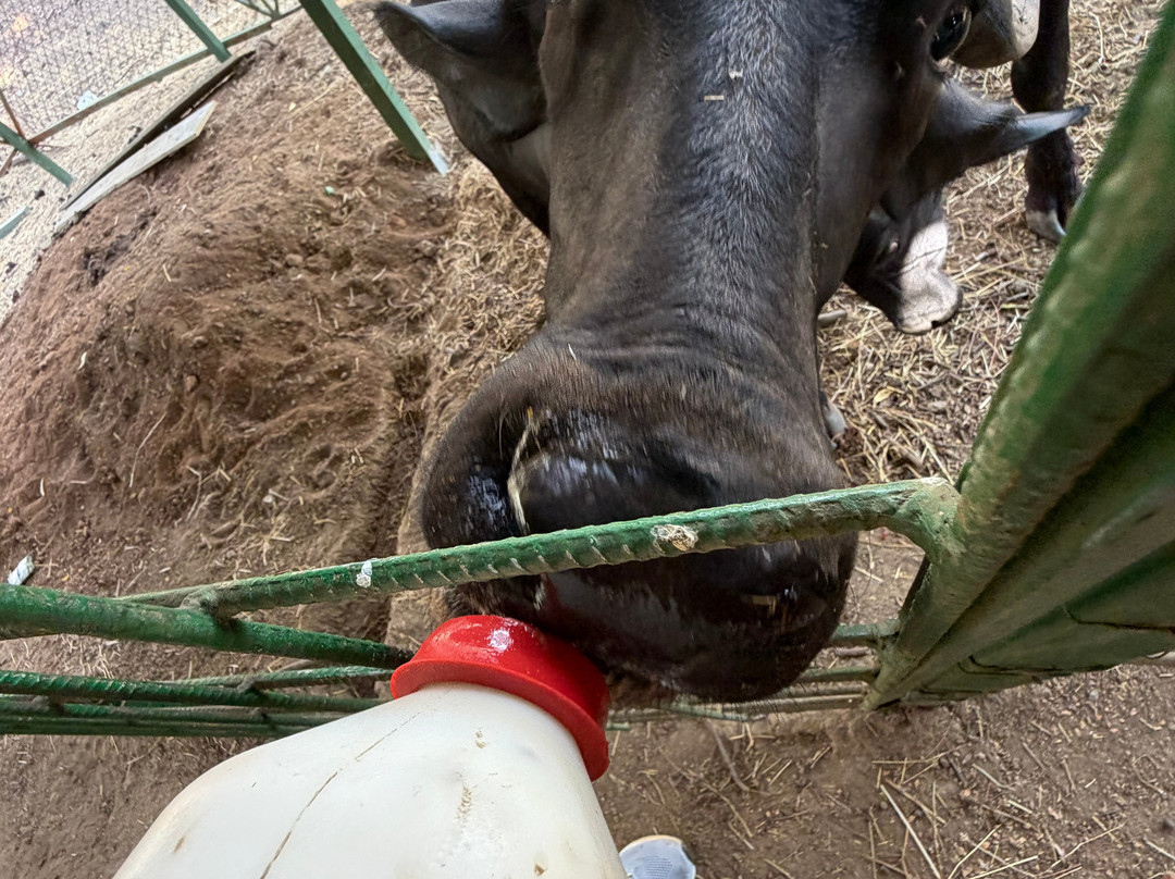 The Monkey Farm-Playa Ocotal必去景点