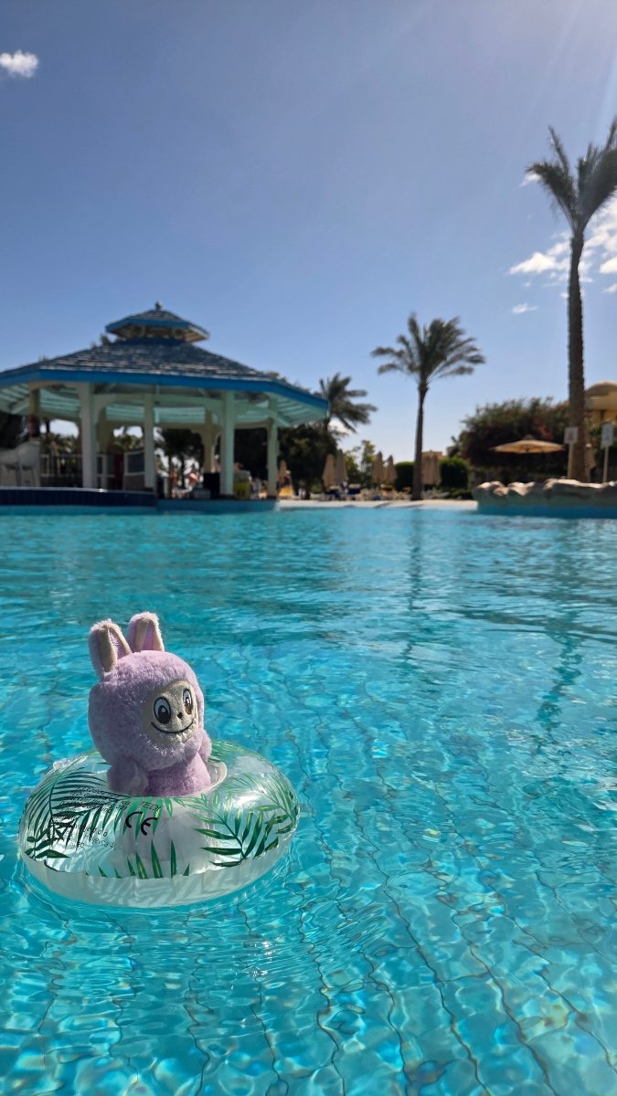 宁静阿尔法海滩酒店-泳池