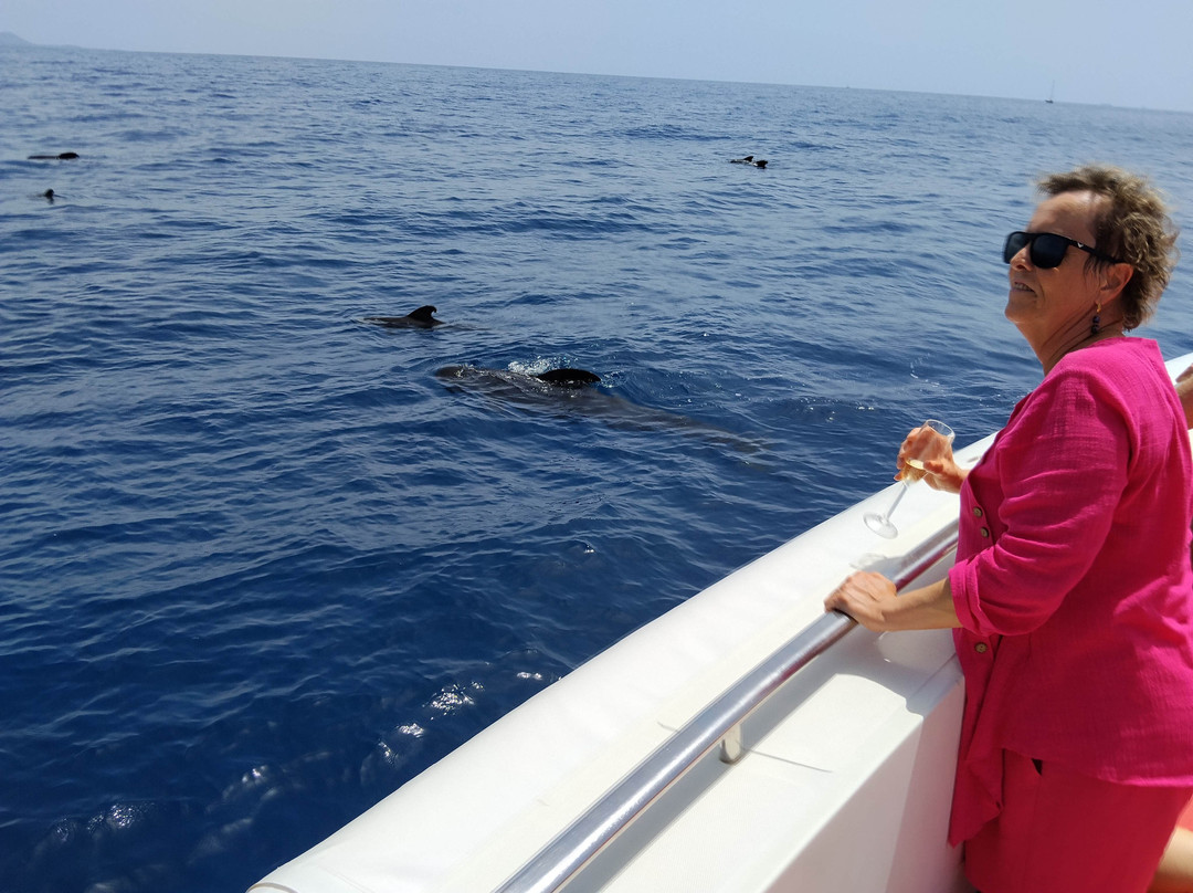 Opera 60 Luxury Charters-奥德杰海岸必去景点