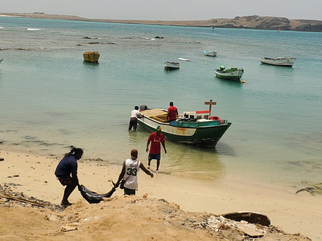 Momo Tour Boa Vista-圣莫尼卡必去景点