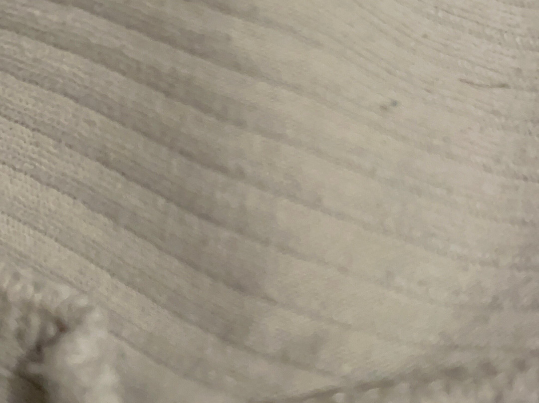 阿姆斯特丹机场贝斯特韦斯特优质酒店主图