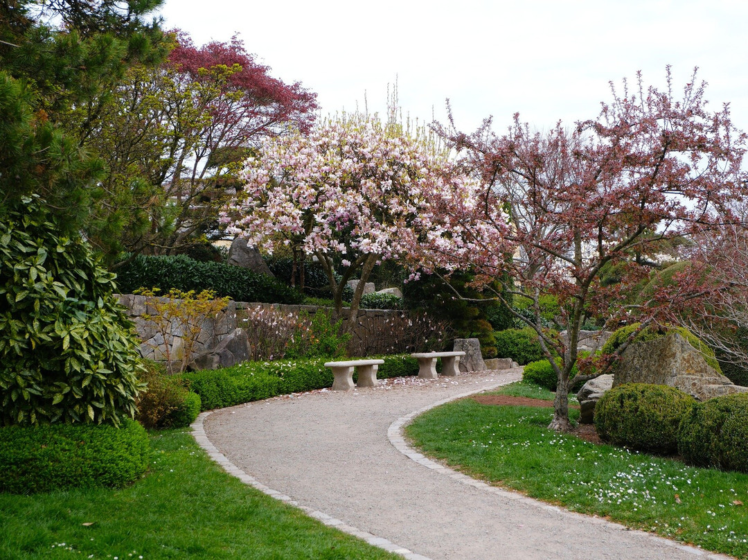 Japanischer Garten-佛莱堡必去景点