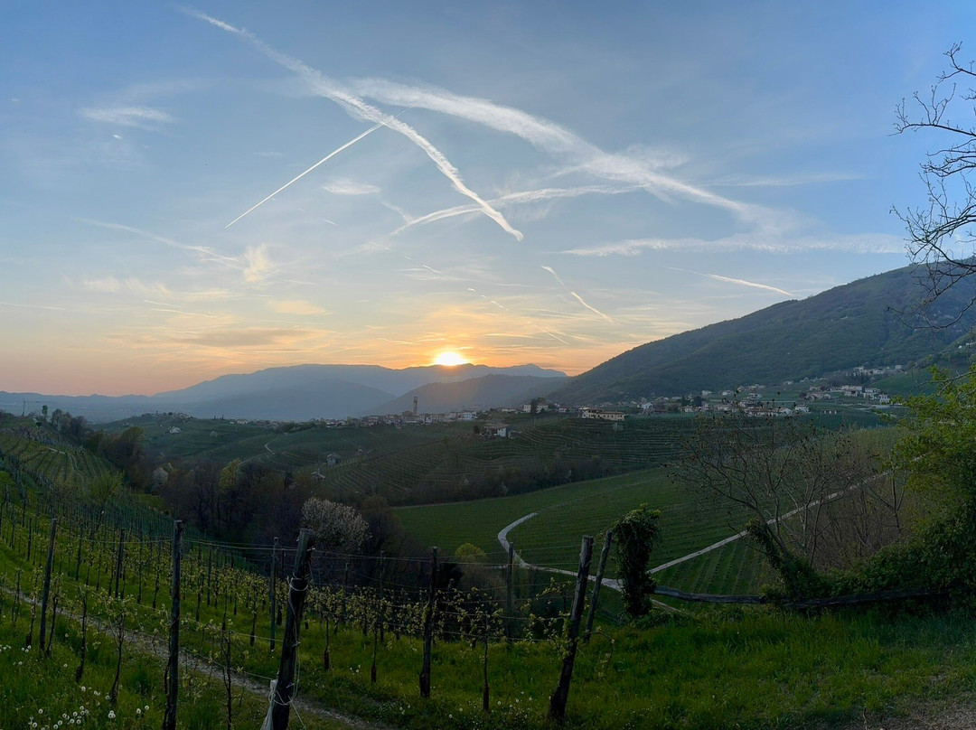 Azienda Agricola Rebuli Angelo & Figli-Valdobbiadene必去景点