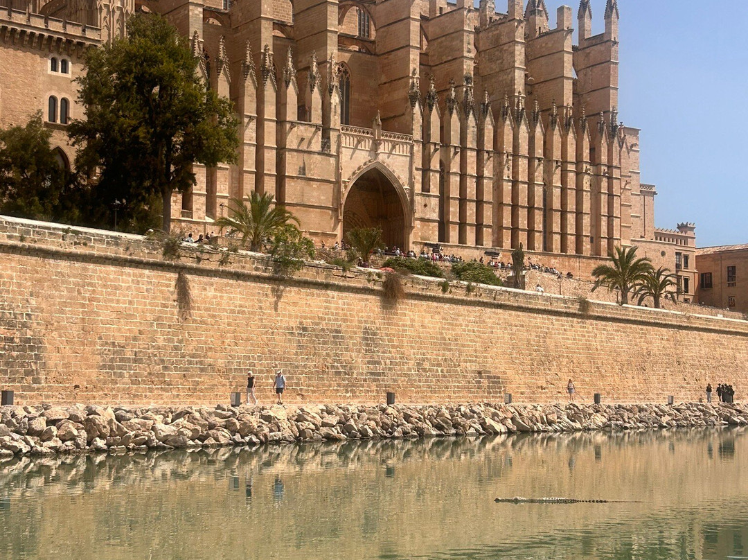 Cathedral de Mallorca-马洛卡帕尔马必去景点
