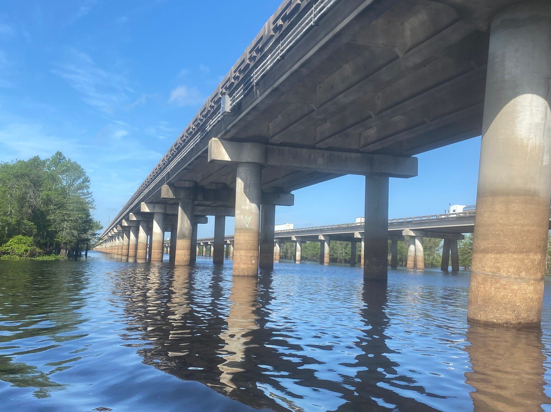 McGee's Louisiana Swamp & Airboat Tours-Henderson必去景点