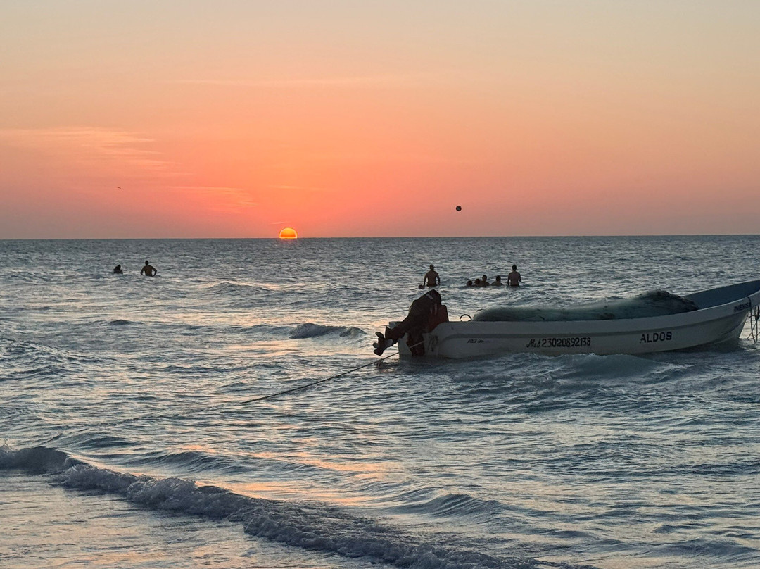 卡萨拉斯托尔图加斯珀蒂海滩酒店及水疗中心主图
