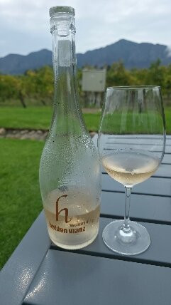 Holden Manz Wine Estate-法兰舒克必去景点