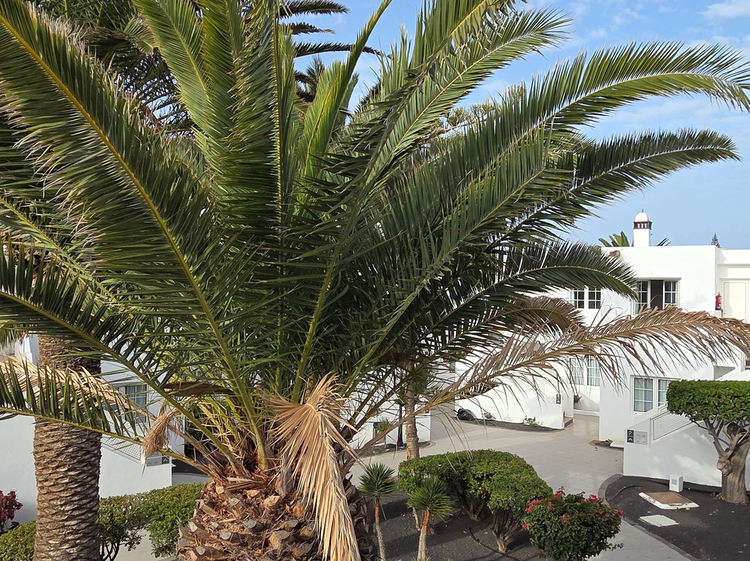 H10怀特精品套房酒店-仅限成人主图