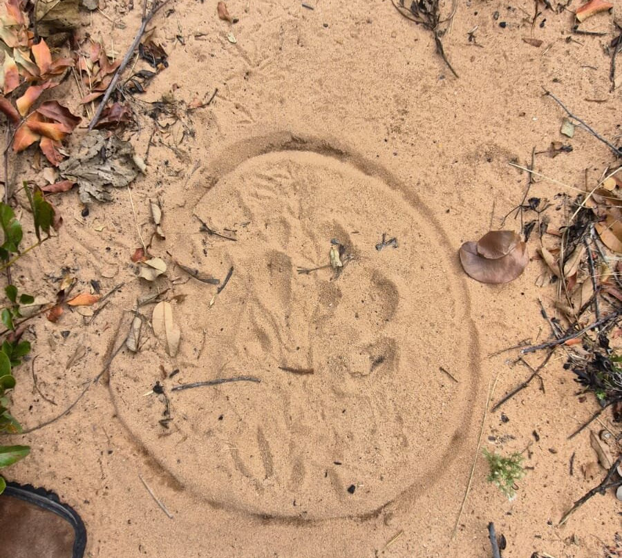 EcoBocaina-Formosa必去景点