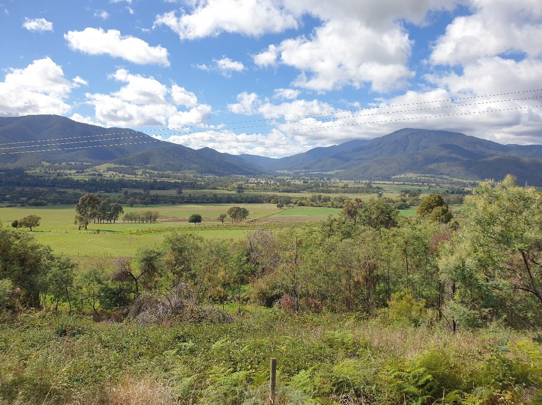 Mount Bogong Lookout-Tawonga South必去景点