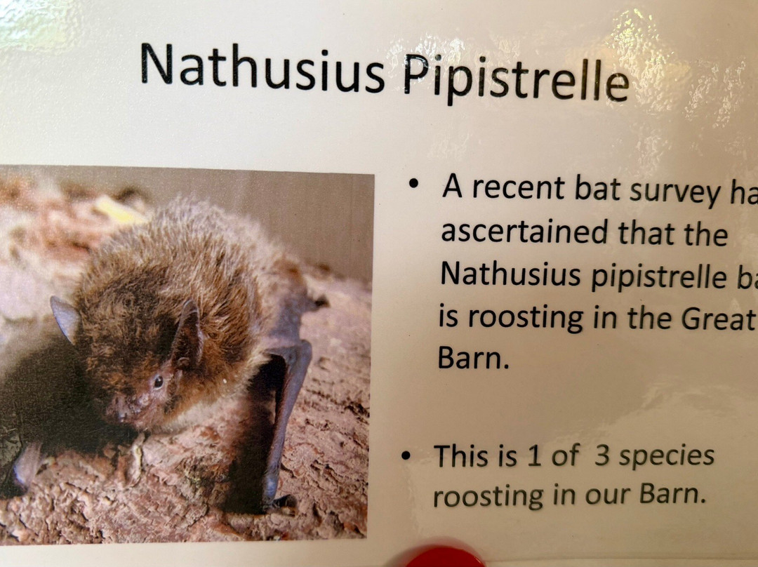 The Great Barn-Harmondsworth必去景点