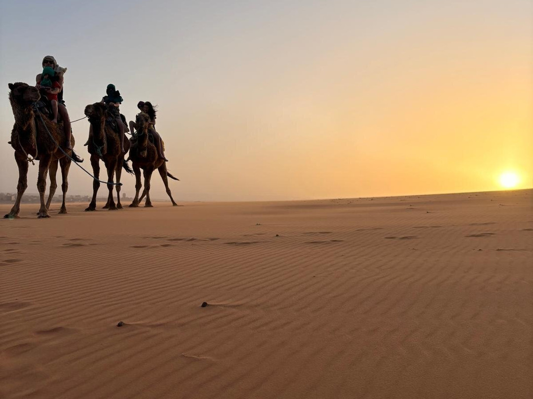 Nasser Palace Suites & Spa主图