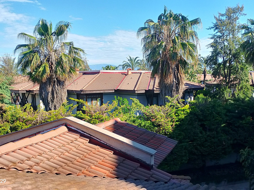 卡利梅拉塞拉皇宫俱乐部酒店主图