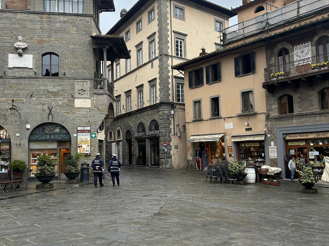 Hill Town Tours-科尔托纳必去景点