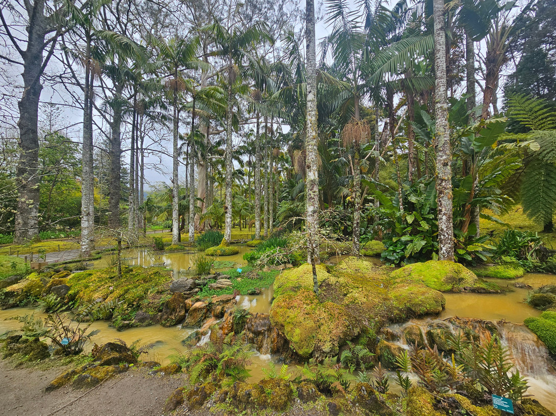 Parque Terra Nostra-富尔纳斯必去景点