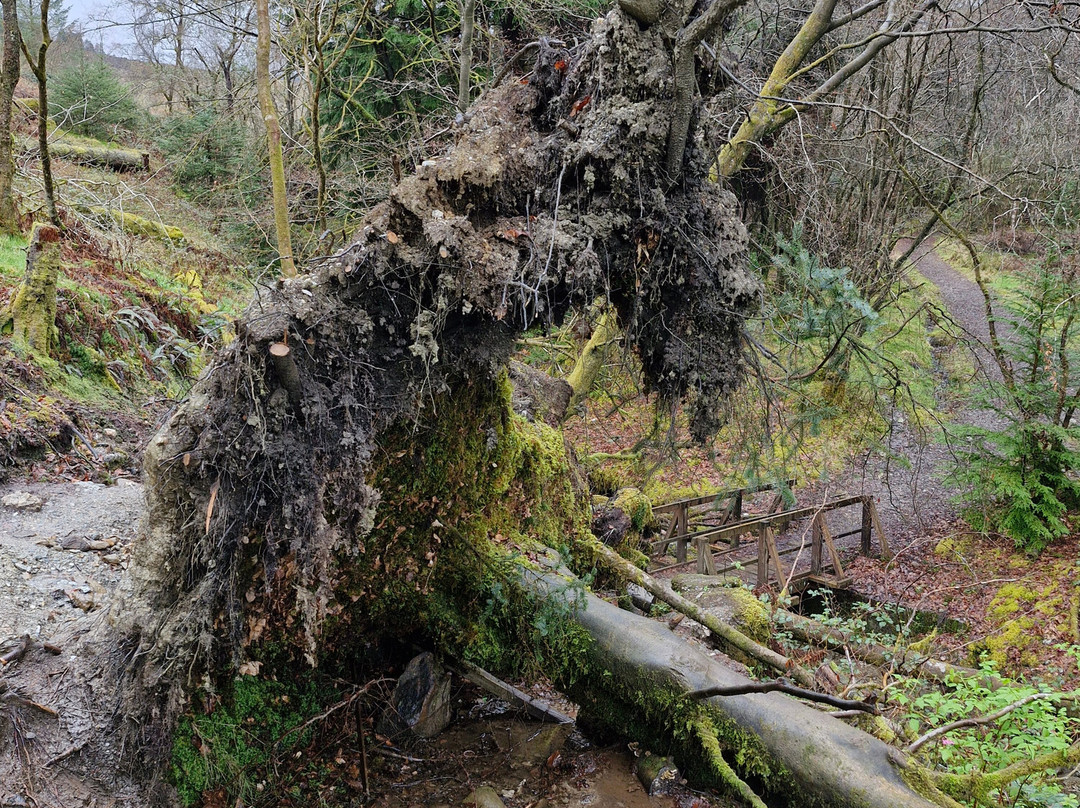 The Bishop's Glen-达农必去景点