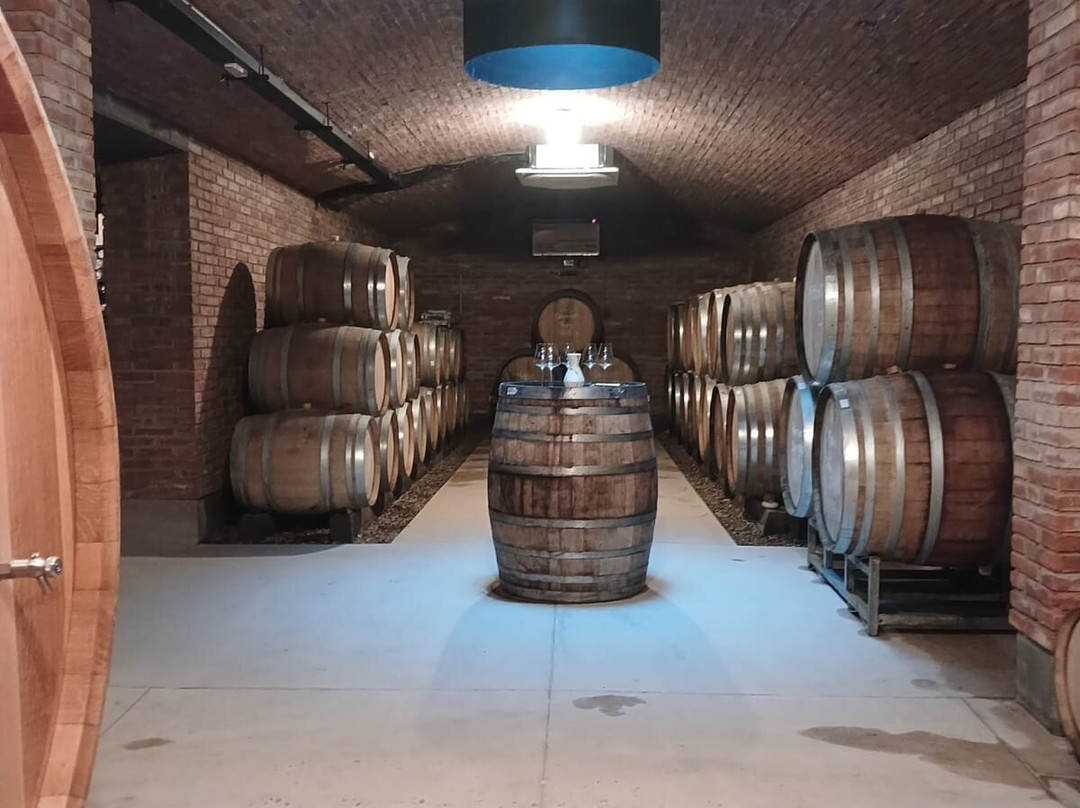 Bodega Altar Uco-Tupungato必去景点