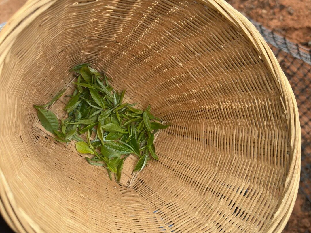 思茅茶马古道-普洱市必去景点