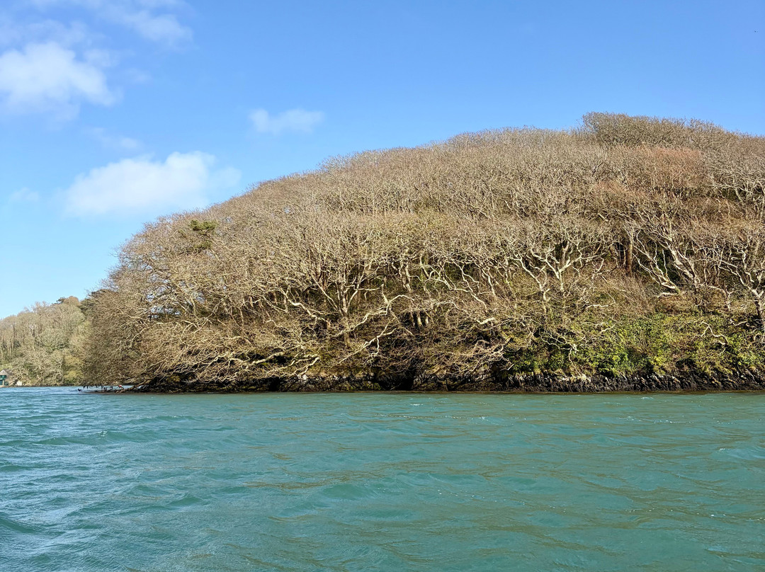 Salcombe Cruises-Salcombe必去景点