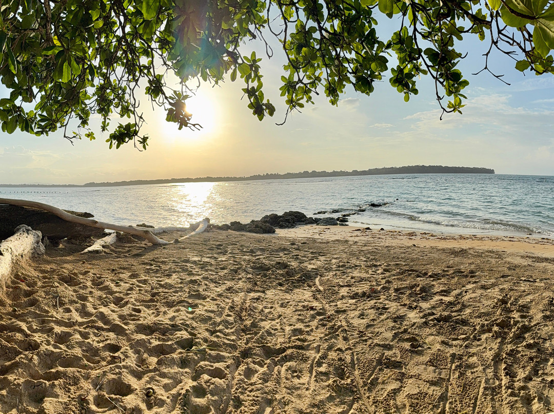 Panama Relocation Tours-波魁特必去景点