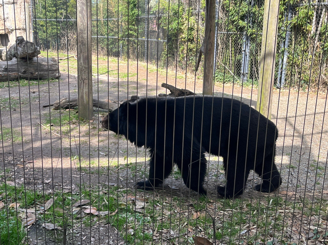 Virginia Zoo-诺福克必去景点