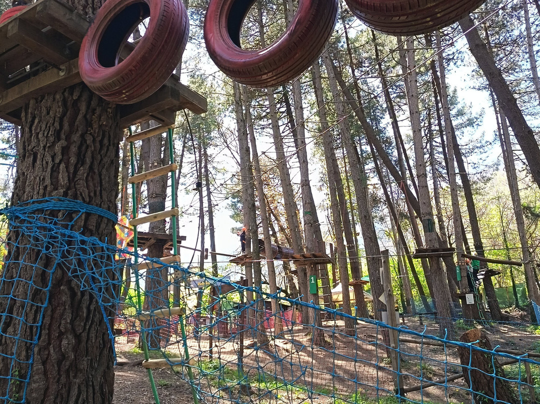 Parco Avventura Montevergine-Ospedaletto d'Alpinolo必去景点