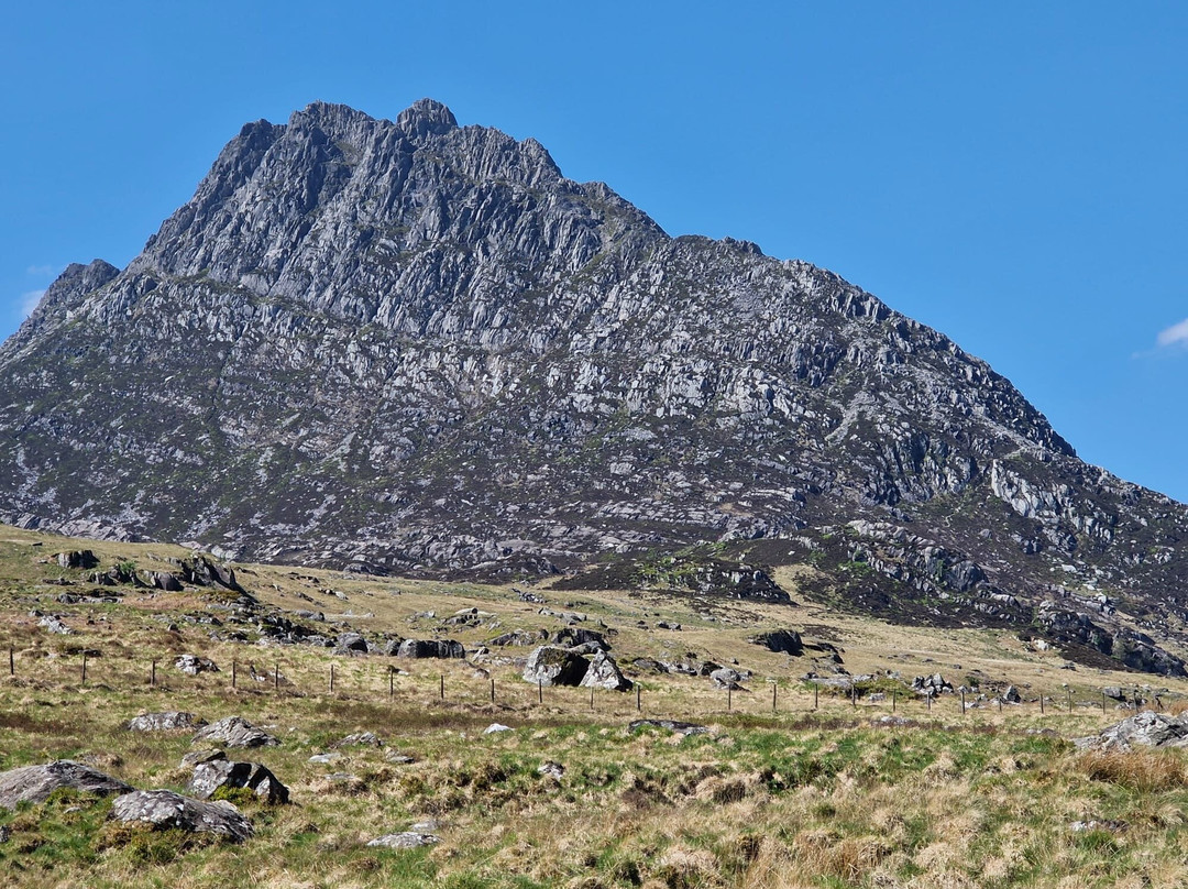 Garth Farm Campsite