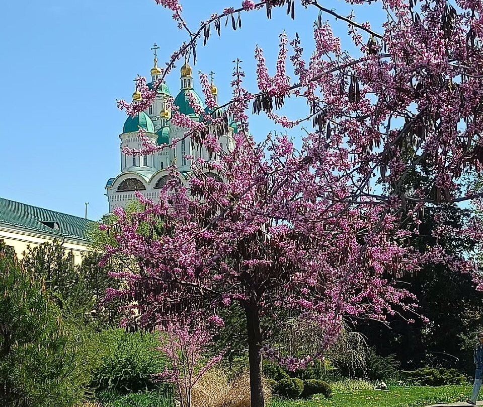 Astrakhan Kremlin-阿斯特拉罕必去景点