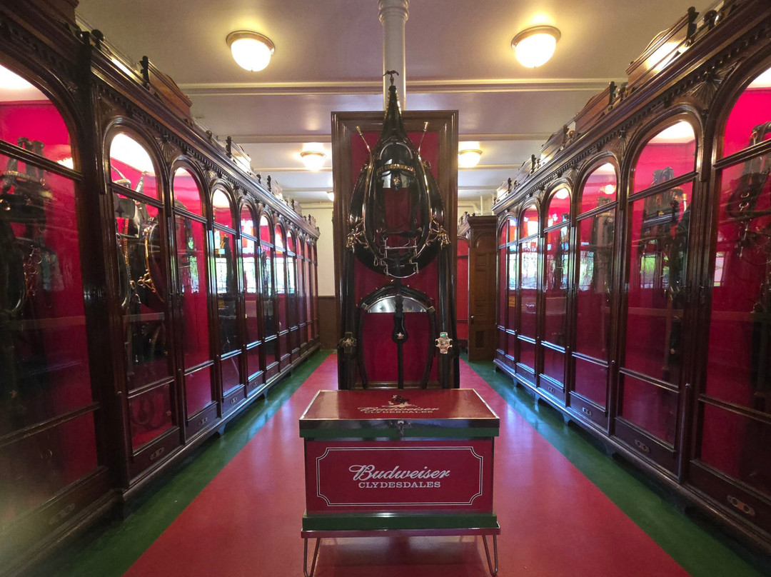 Budweiser Brewery Experience-圣路易斯必去景点