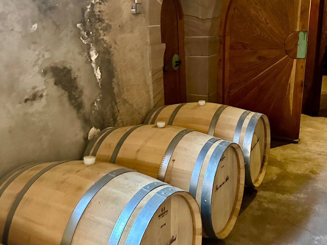 Domaine Albert Seltz-米特贝汉必去景点